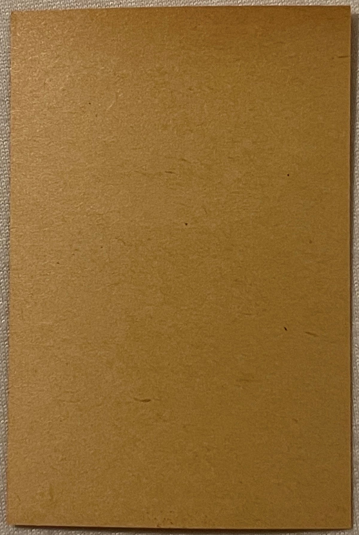 Blank tan cardboard label or tobacco packaging, shown flat against light fabric background