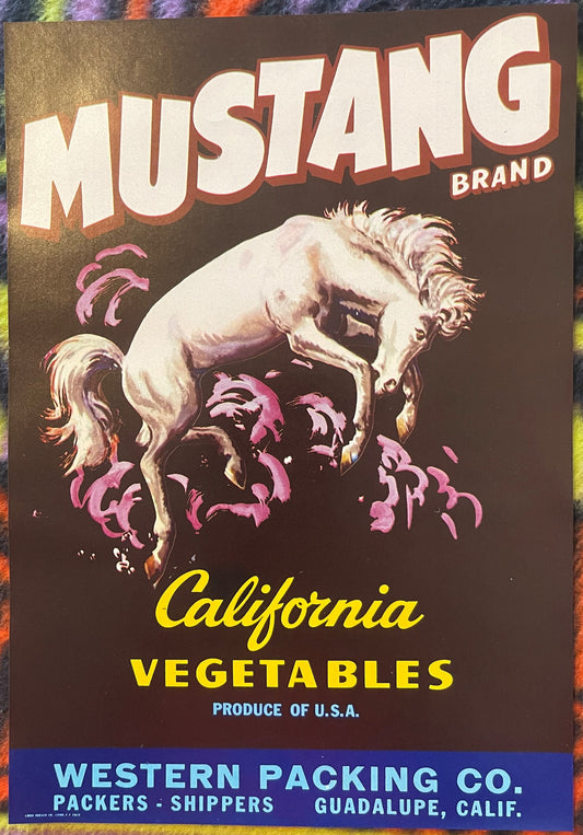 Vintage Mustang Brand vegetable crate label with white horse and pink flowers on dark background, California produce marking