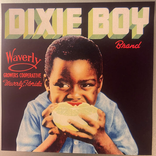 Vintage fruit crate label showing young child in blue shirt holding grapefruit, "Dixie Boy" text in yellow letters, "Waverly