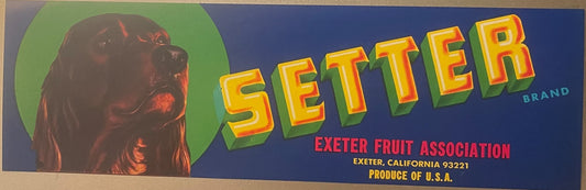 Vintage Setter Brand fruit crate label featuring a mahogany setter dog's head in profile on green circle, bold yellow-green 3