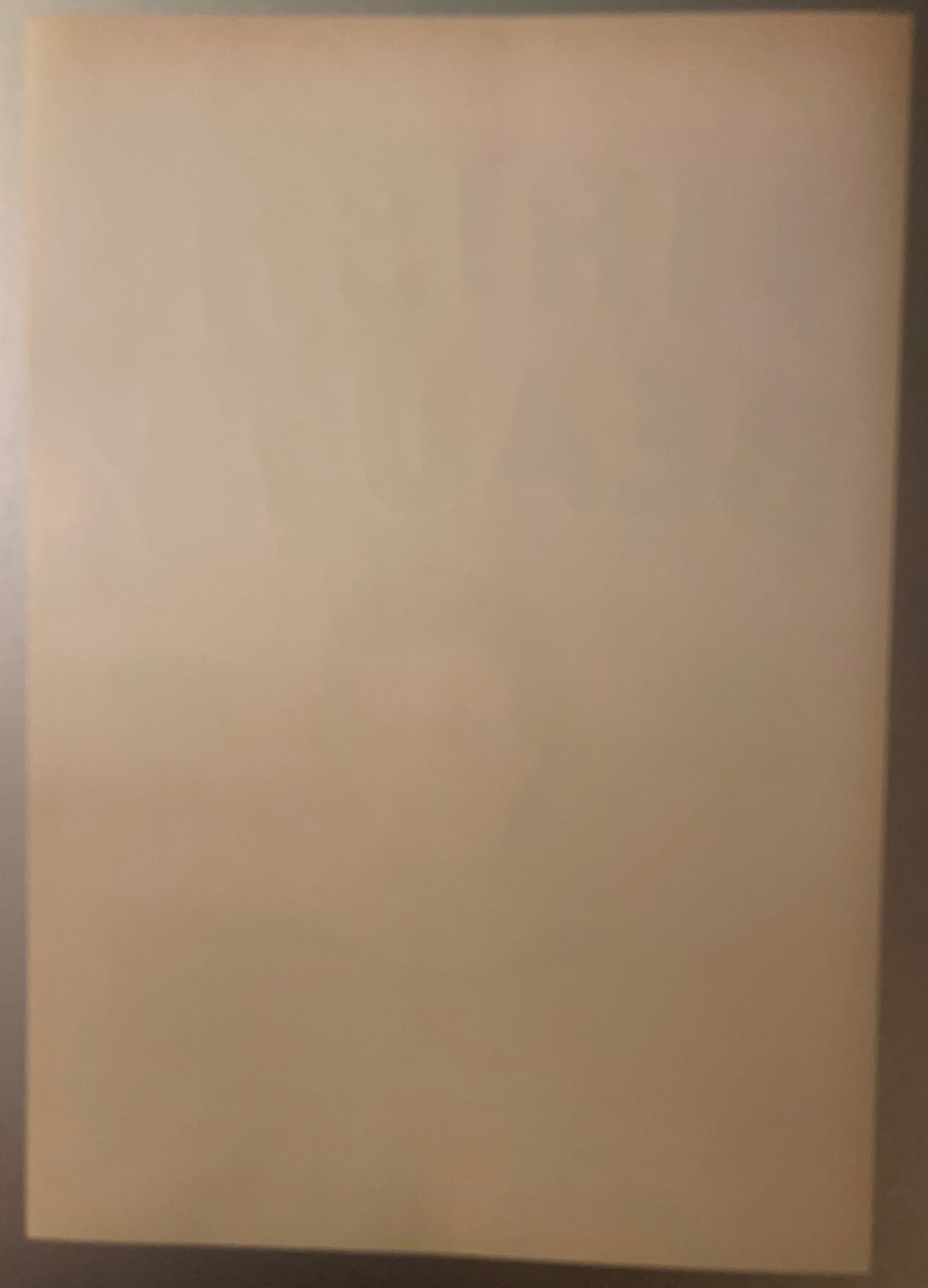 Blank cream-colored vintage crate label with shadow cast from right edge, viewed flat against neutral background