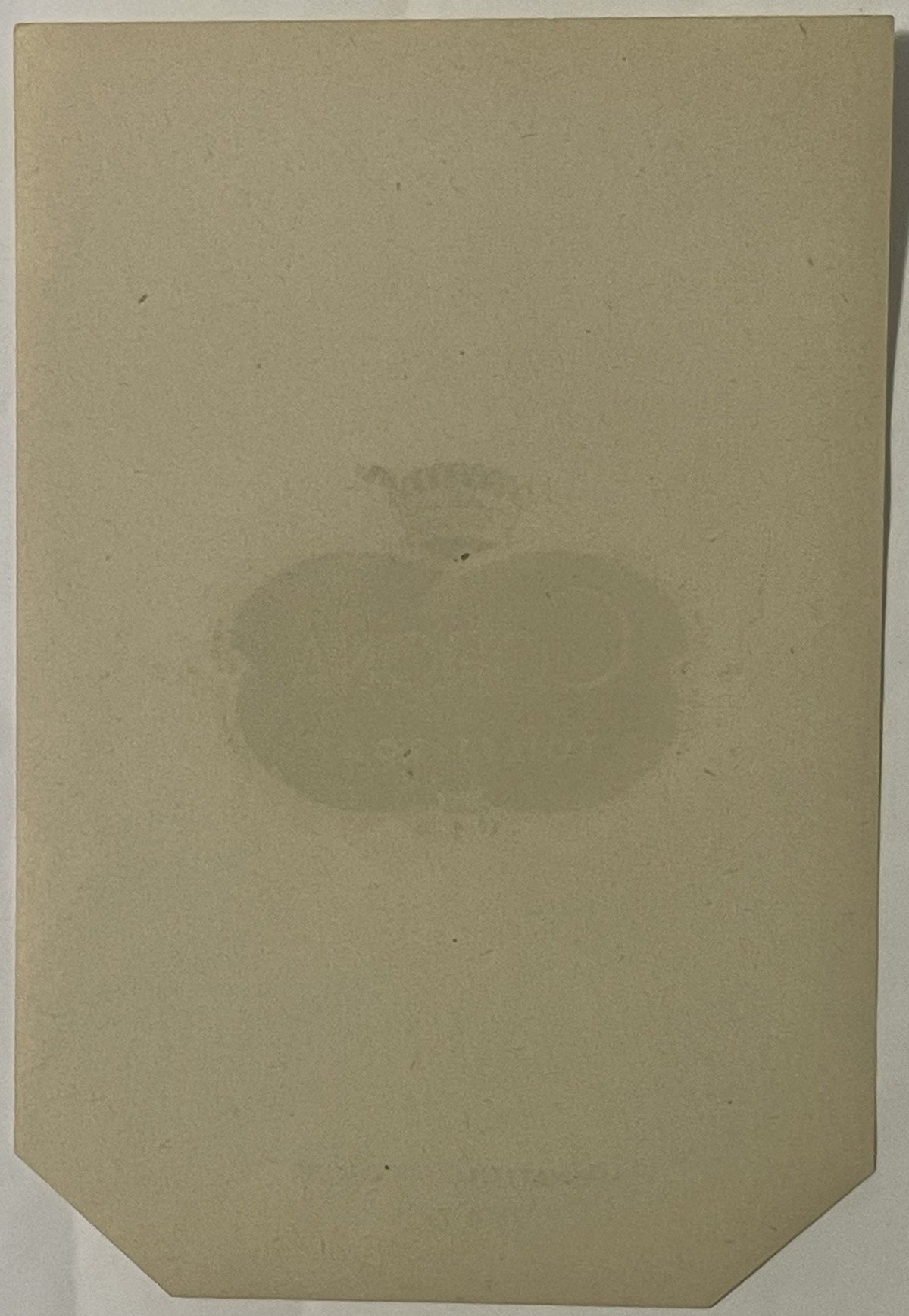 Blank cream back of the Corona soap label with the clipped corners and the design faintly showing through
