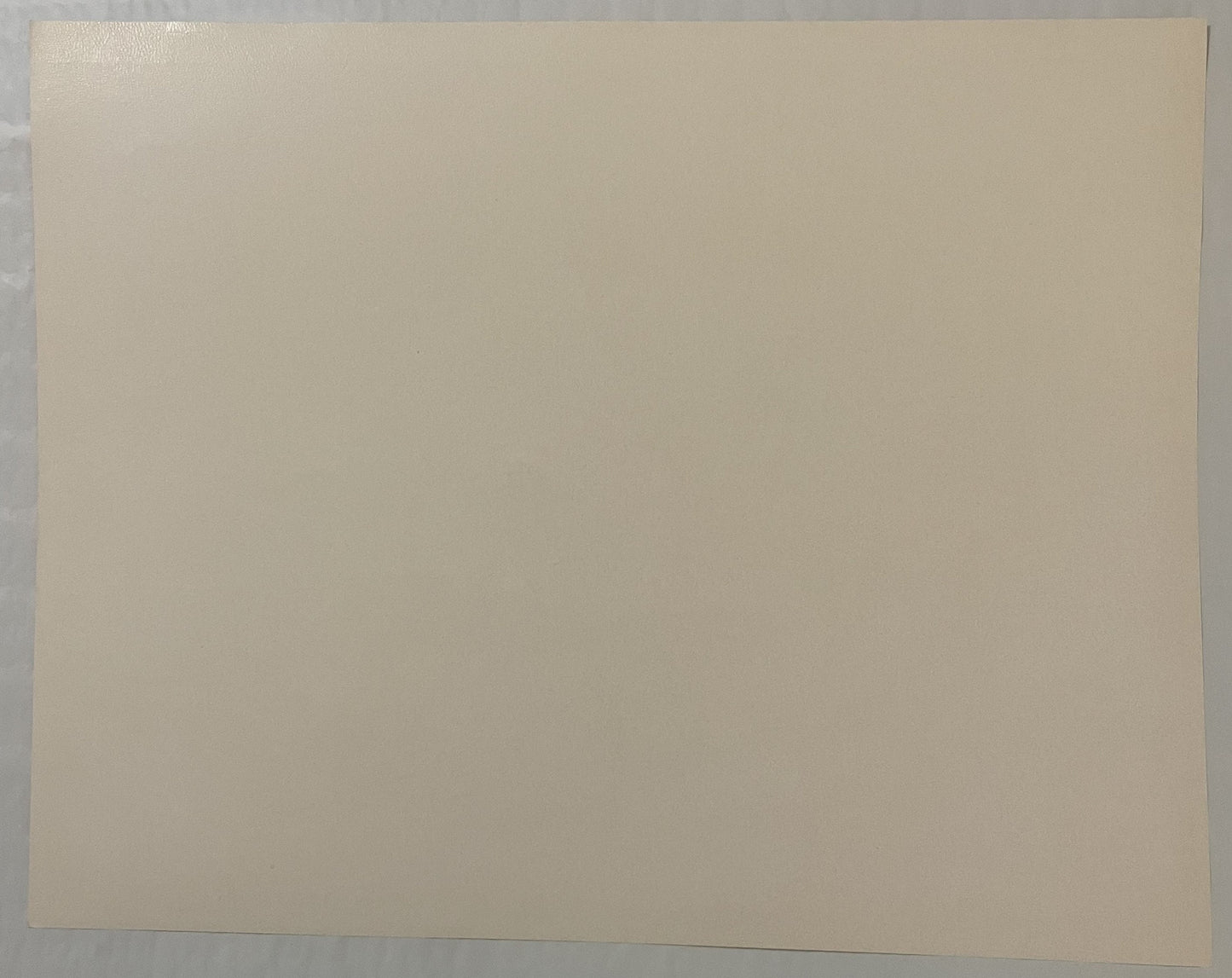 Blank cream-colored paper or print backing photographed flat against gray surface