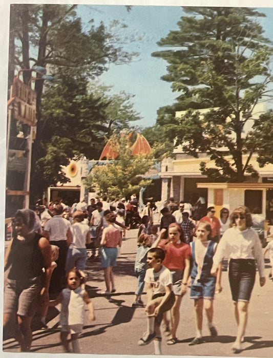 Vintage postcard showing crowded midway with visitors walking among colorful buildings and tall trees, with red-roofed struct