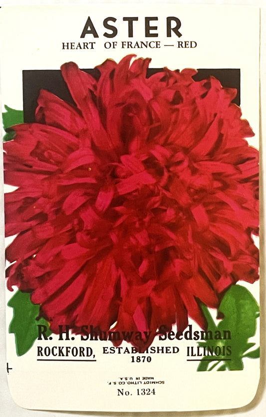 Vintage red Aster "Heart of France" seed packet from R. H. Shumway Seedsman, Rockford Illinois, showing full double bloom wit