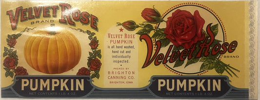 Vintage Velvet Rose Brand pumpkin can labels featuring red roses and a golden pumpkin illustration, packed by Brighton Cannin