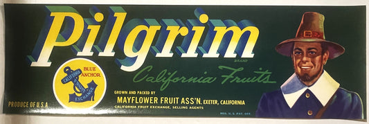 Vintage Pilgrim Brand fruit crate label with yellow text, Blue Anchor logo, and smiling man in pilgrim hat on green backgroun