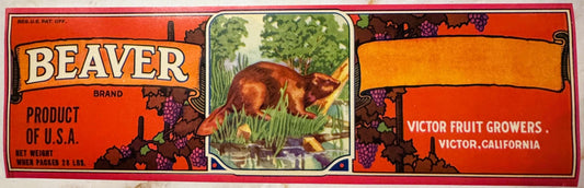 Vintage Beaver Brand fruit crate label with illustrated brown beaver, red background, purple grapes, and Victor Fruit Growers