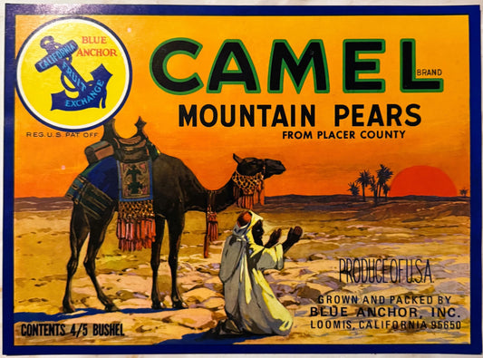 Vintage Camel Brand mountain pears crate label featuring blue anchor logo, desert scene with camel and person, orange and yel