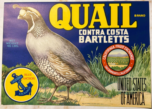 Vintage fruit crate label featuring a detailed quail illustration on blue background with yellow "QUAIL" text and California
