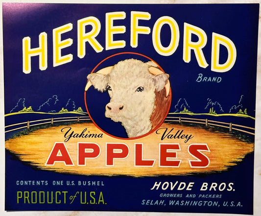 Vintage fruit crate label featuring a white Hereford bull's head in a red circle against a dark blue background with yellow "