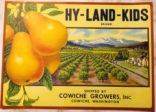 Vintage Hy-Land-Kids fruit crate label featuring golden pears, orchard landscape, and text identifying Cowiche Growers, Inc.,