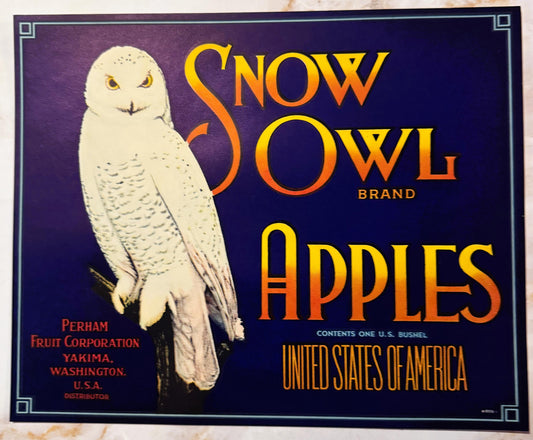 Vintage fruit crate label featuring a white snowy owl on deep blue background with yellow and orange "Snow Owl Brand Apples"