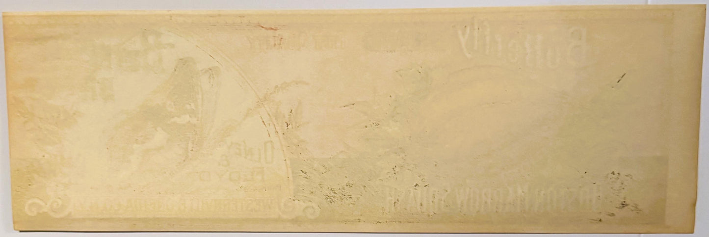 Antique 1890s Butterfly Boston Marrow Squash Label Unearthed