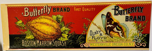 Vintage Butterfly Brand Boston Marrow Squash can label with red background, yellow squash illustration, and butterfly vignett