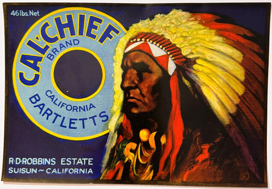 Vintage fruit crate label featuring a Native American chief in headdress with yellow and red feathers, red text on blue backg
