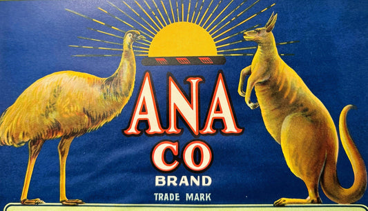 Vintage fruit crate label featuring two kangaroos flanking a rising sun with "ANA CO BRAND TRADE MARK" text in red and white