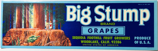Vintage Big Stump Brand grapes crate label featuring giant sequoias with two people standing on a massive tree stump, dark bl