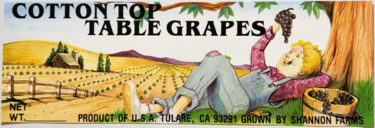 Vintage fruit crate label for Cotton Top Table Grapes from Tulare, CA, featuring a smiling man relaxing under a tree with vin