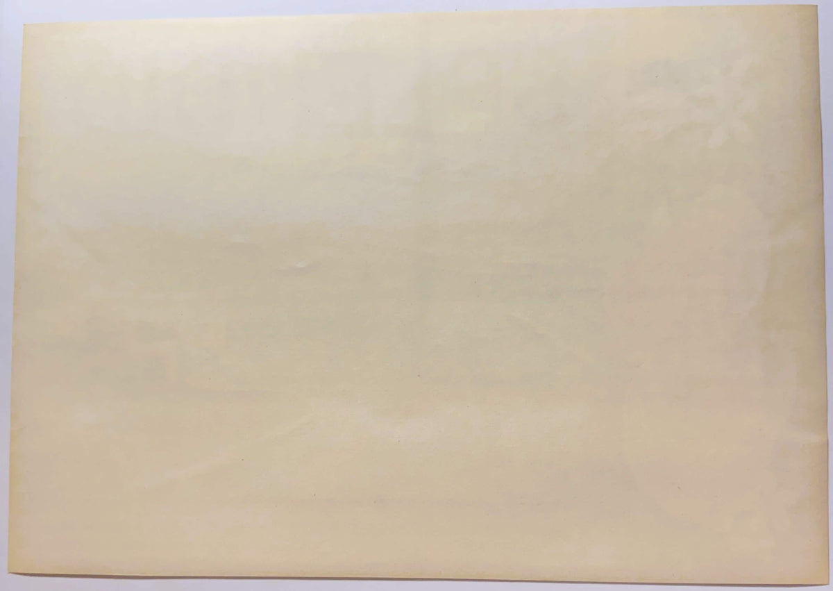Back of the Splendid Brand crate label: plain cream paper, unused and never pasted to a crate.