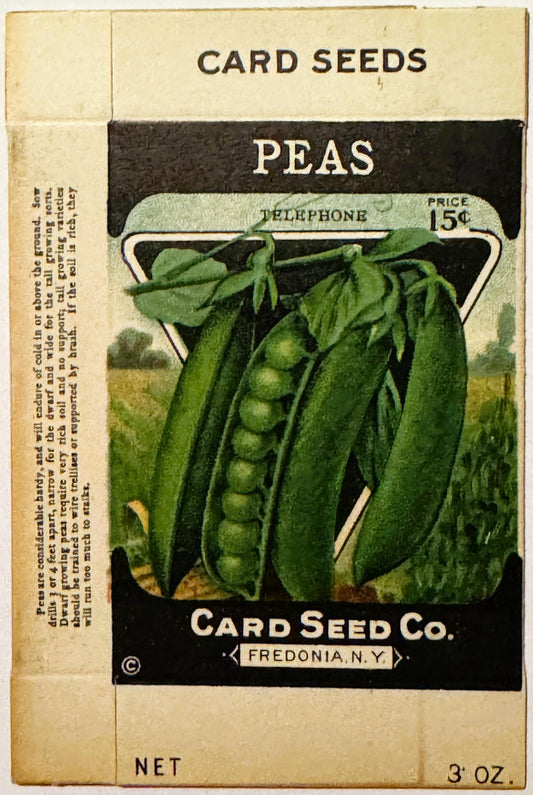 Vintage Card Seed Co. pea seed packet from Fredonia, NY showing green pea pods, priced 15 cents, 3 oz net weight