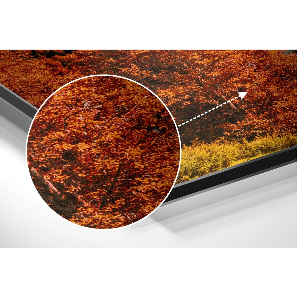 Stunning Autumn Forest Print on Brushed Aluminium Dibond | Modern Wall Art Decor | vintageantiquesgifts.com