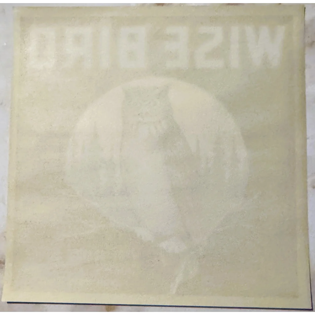 Faded white vinyl record sleeve featuring Moonlit Owl Graces Vintage Florida Citrus design