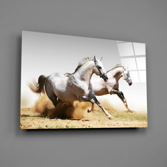 Two white horses galloping through dust on sandy terrain, displayed as a framed glass wall art panel against gray background.