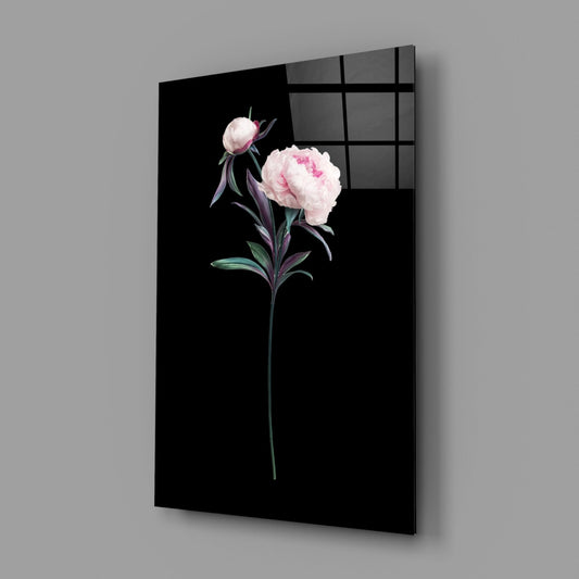 Angled perspective view of black glass wall art displaying pink and white peony with bud and dark foliage against black background.