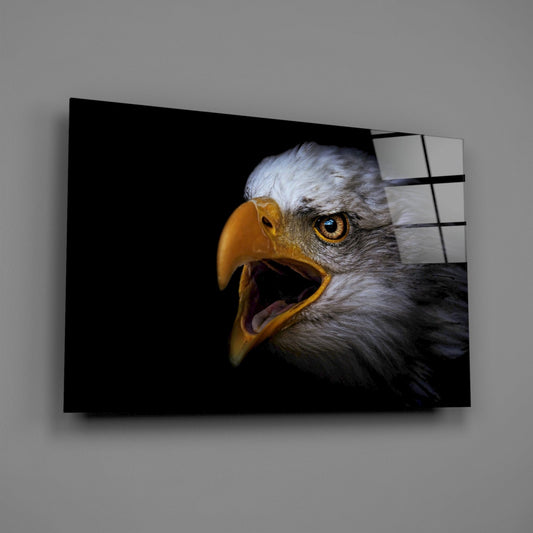 Bald eagle with open beak mounted on gray wall, black background, glass panel with grid pattern visible on right edge.