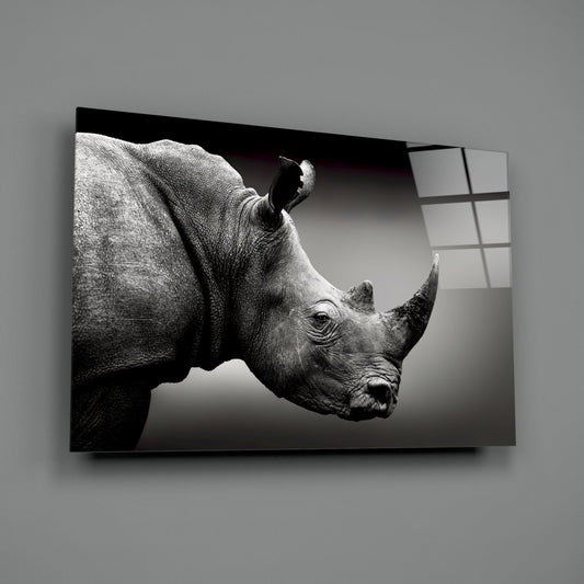 Black and white photograph of a rhinoceros head in profile mounted on translucent glass panel against gray wall.
