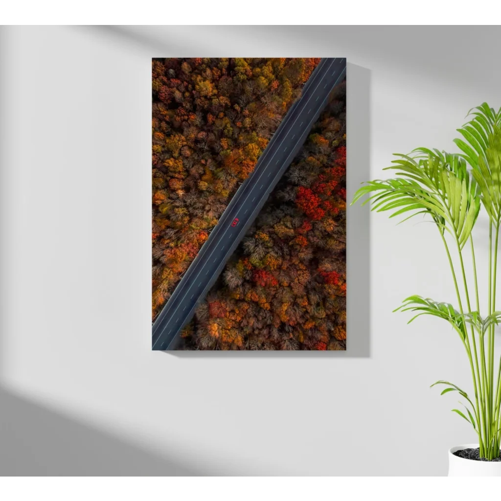 Stunning autumn road on insigne aluminum print