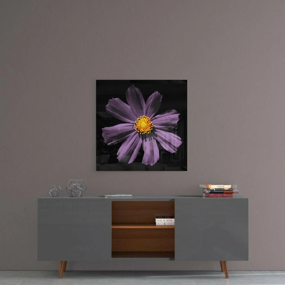 Stunning purple cosmos flower in black-and-white on glass wall art