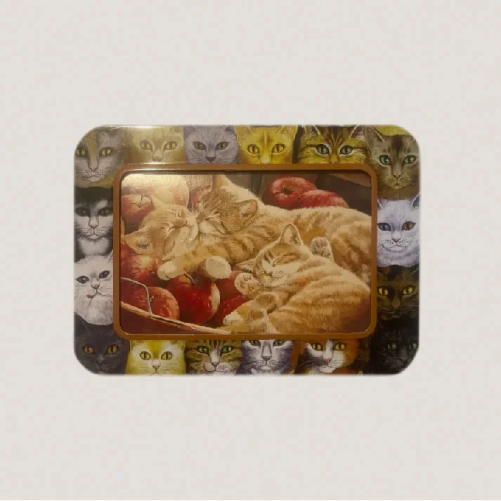 A second straight-on view of the die-cut photo-frame lid, showing the same two sleeping tabby cats in the apple basket and the cat-portrait border.