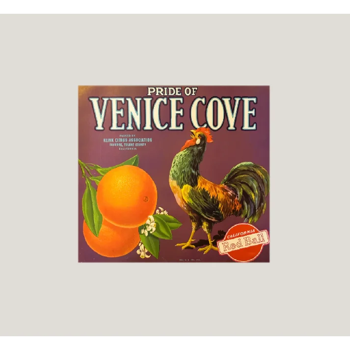 Rare 1930s Klink Citrus Orange Crate Label – Vintage and Antique Gifts