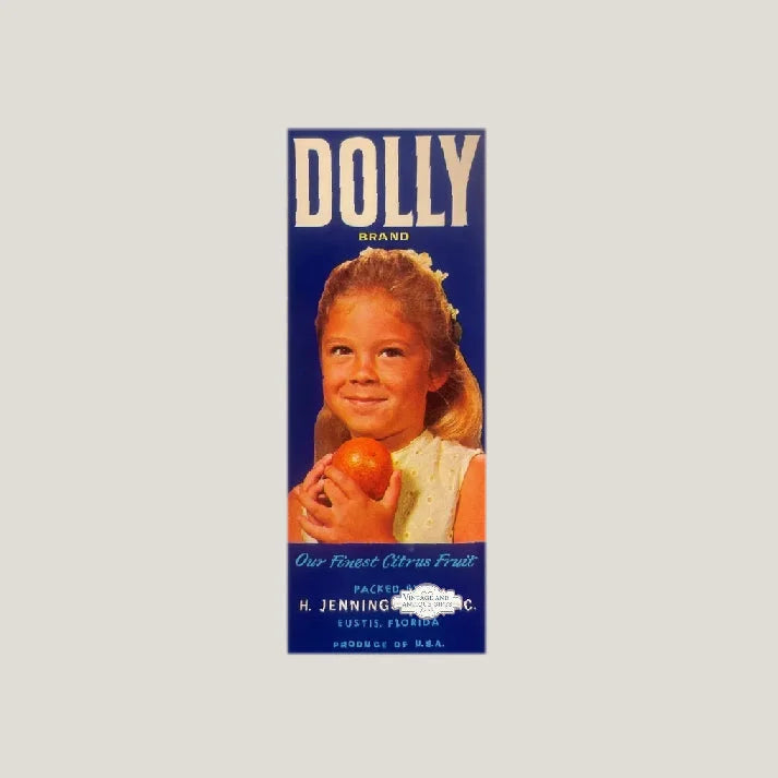 Vintage dolly crate label with citrus design from rare 1940s antique crate collection