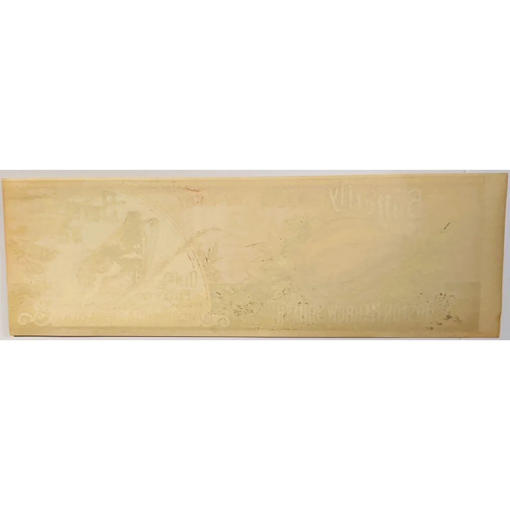 Antique 1890s butterfly textured off-white surface from Boston Marrow Squash label