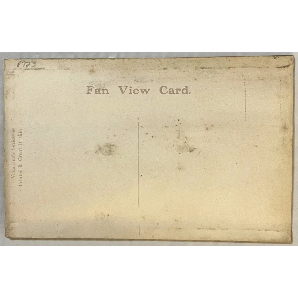 Vintage Dominion Park Fan postcard with blank space, showcasing early 1900s charm