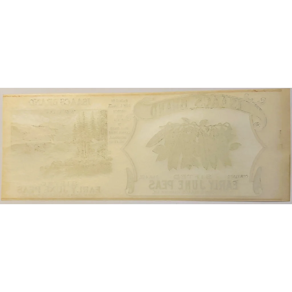 Faded vintage label from rare antique 1920s Isaacs Pea Can by John Sudler Isaacs
