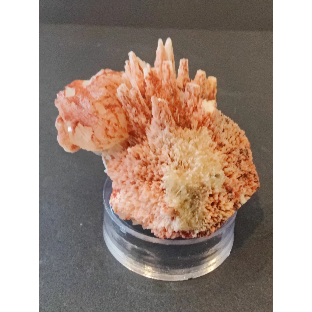 Red mordenite with stilbite specimen: coral-pink spiky crystals on stand, 112g