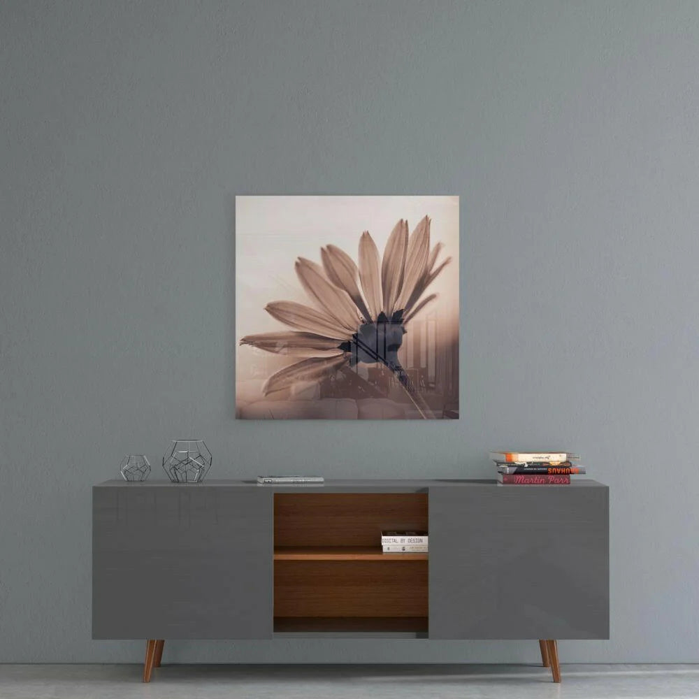 Sepia-toned daisy glass wall art print on acrylic panel