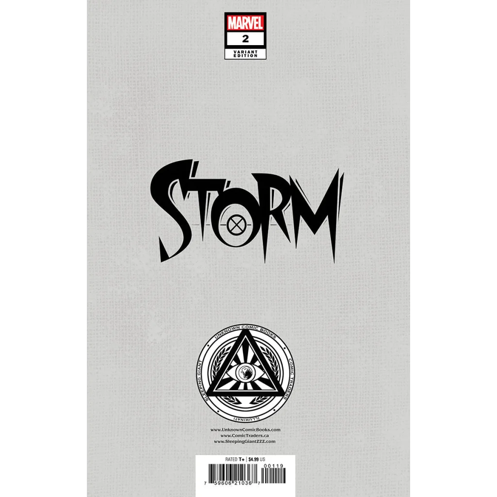 Comic book cover for Marvel Storm Issue 2 by Nathan Szerdy Unknown Comics Nathan