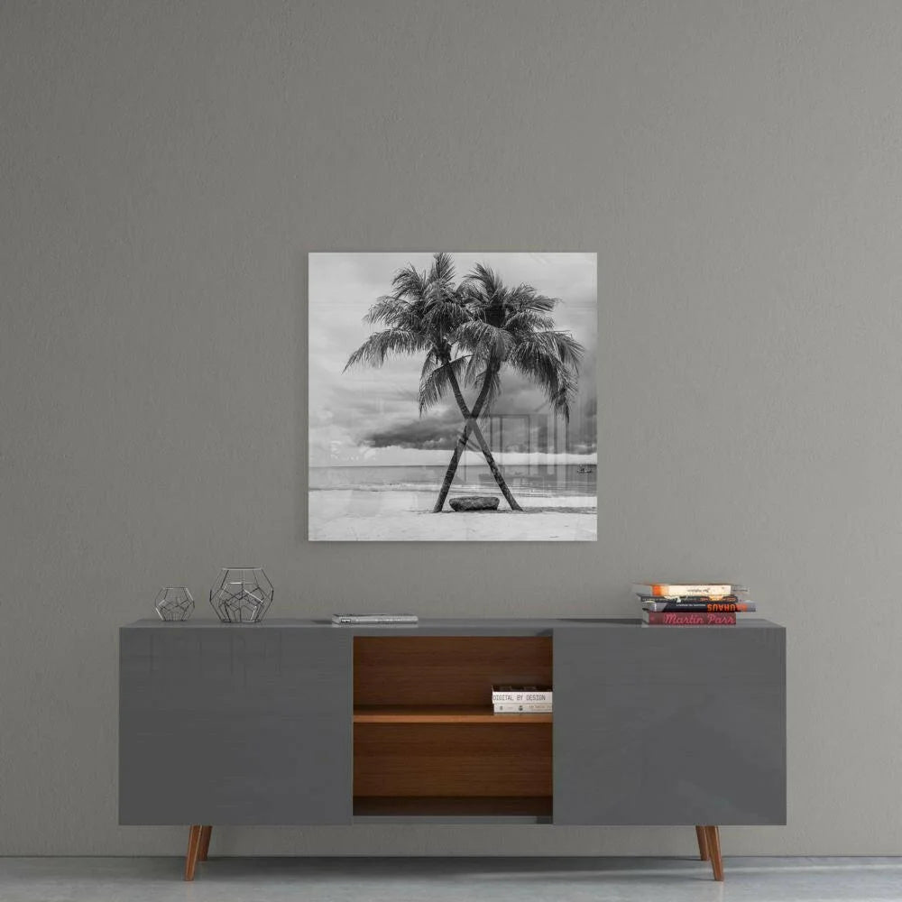 Stunning black and white Palm Beach glass wall art print