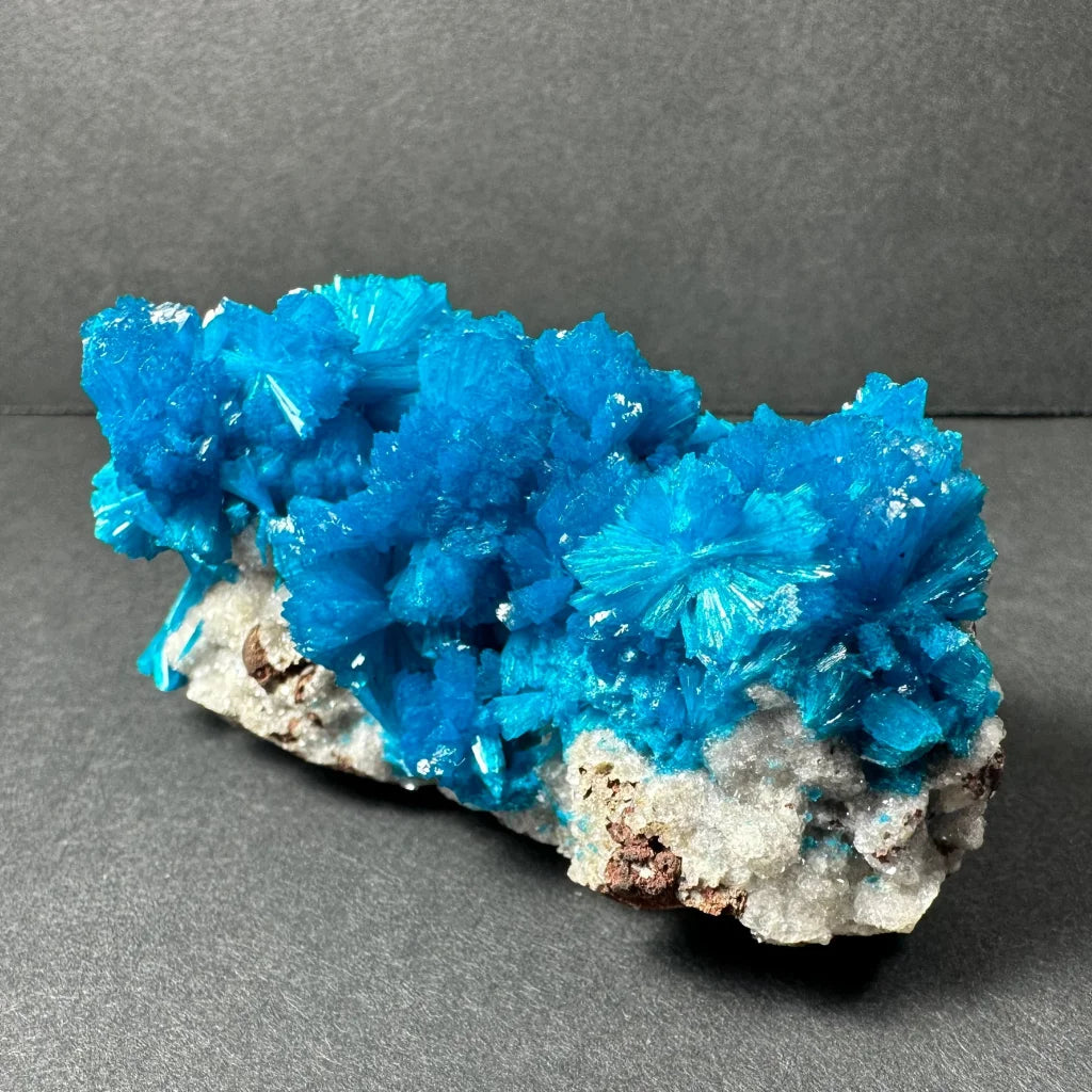 Stunning blue cavansite crystal cluster from India with fan-like growths