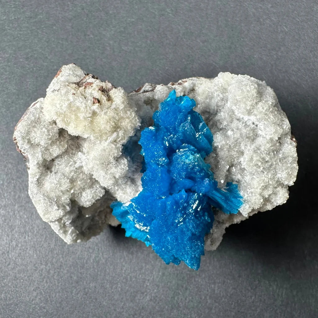 Vibrant blue cavansite crystal cluster on white rock matrix from India
