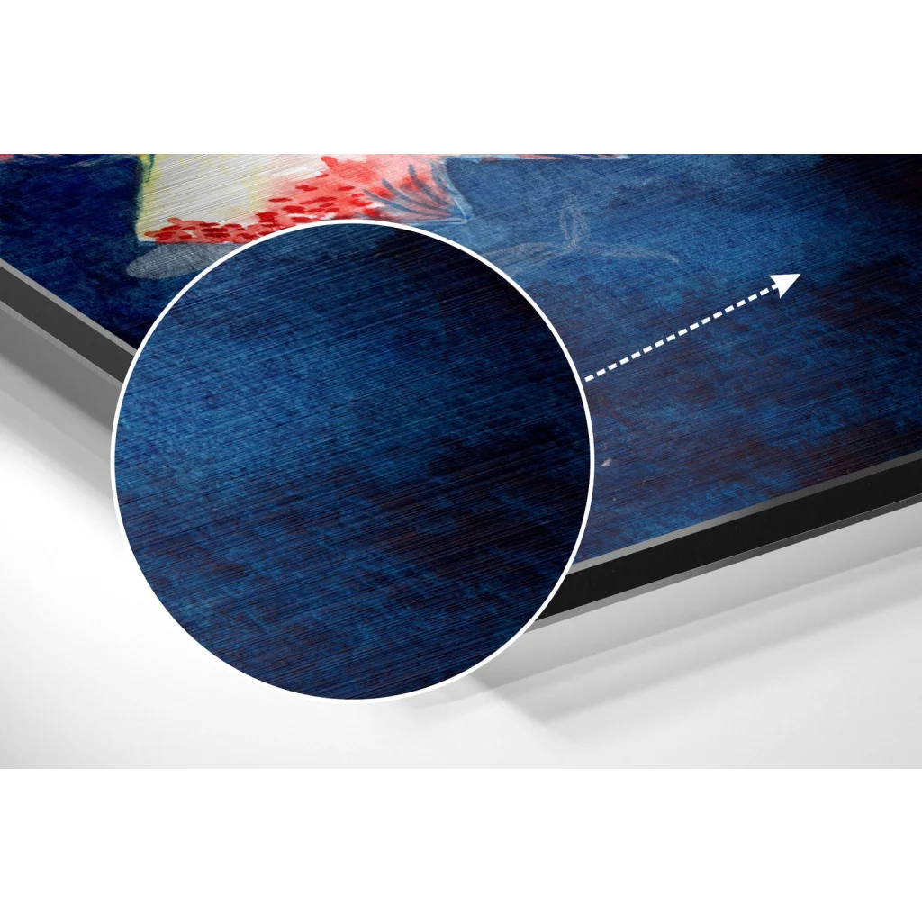 Stunning blue fish art print on brushed aluminium dibond with red accents
