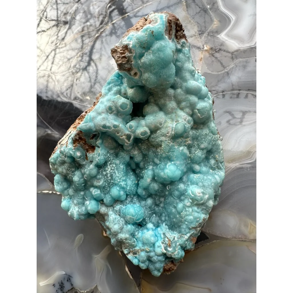 Vibrant blue hemimorphite botryoidal specimen on brown matrix