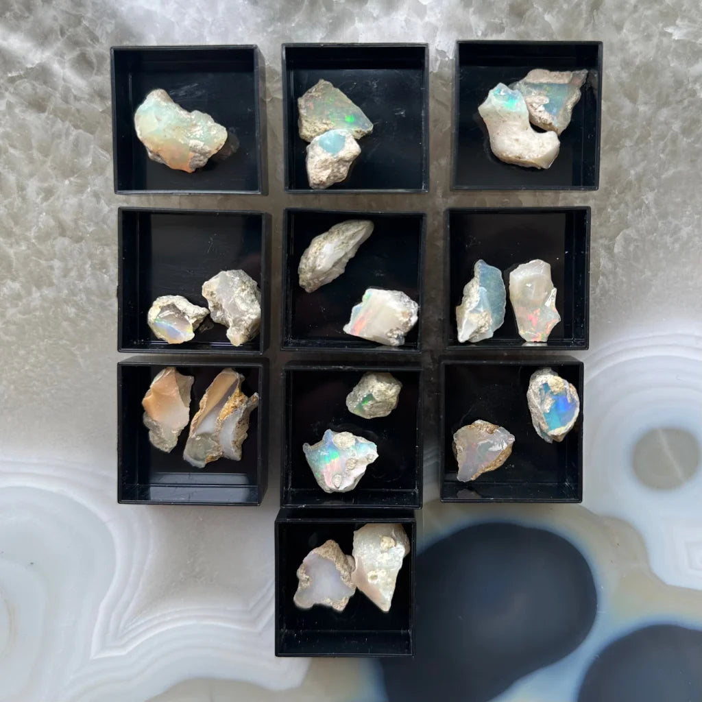 Nine raw iridescent Welo opal stones in acrylic perky box