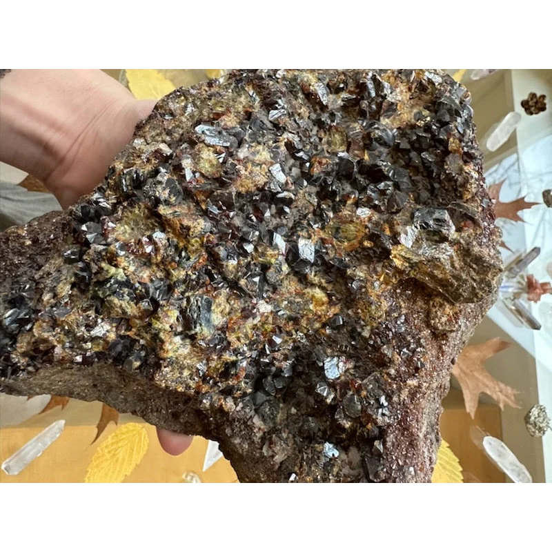 Stunning hessonite garnet cluster from Washington State
