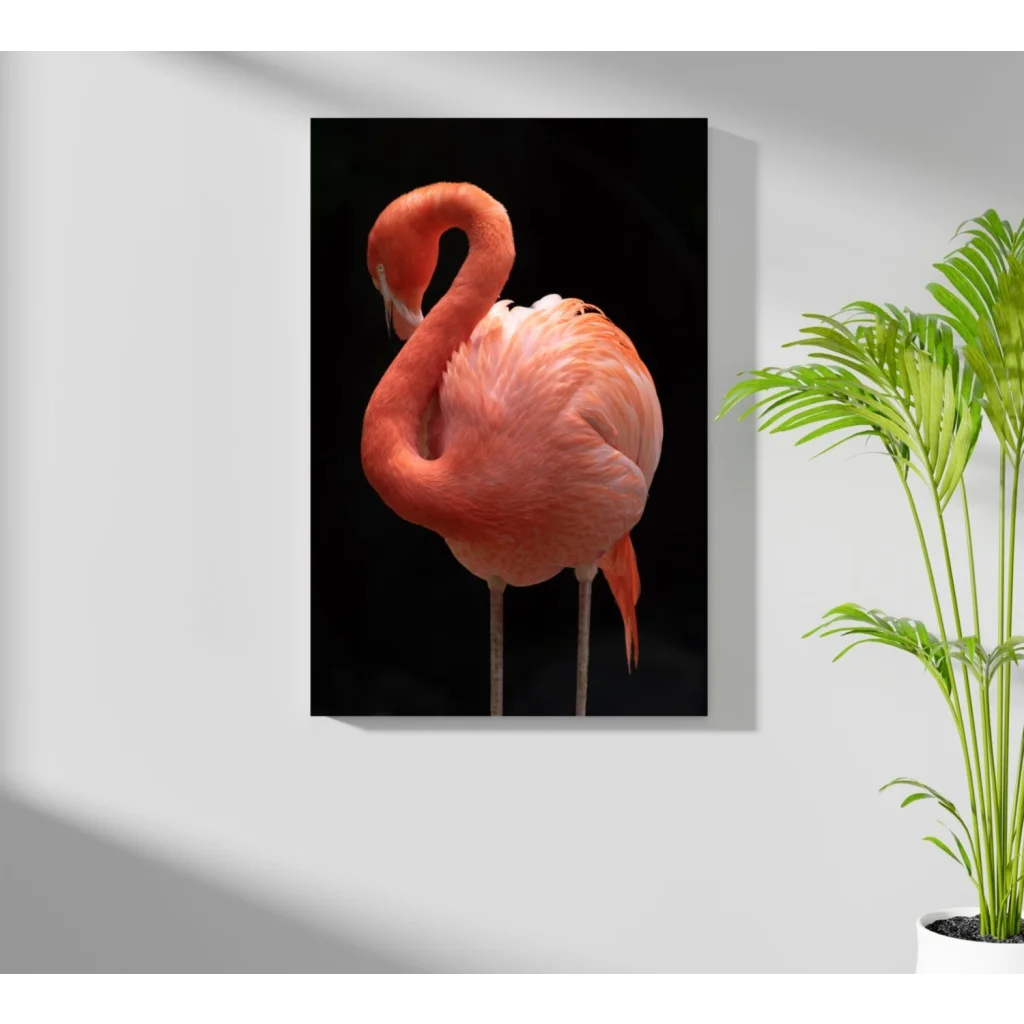 Vibrant pink flamingo canvas print on black aluminum wall art